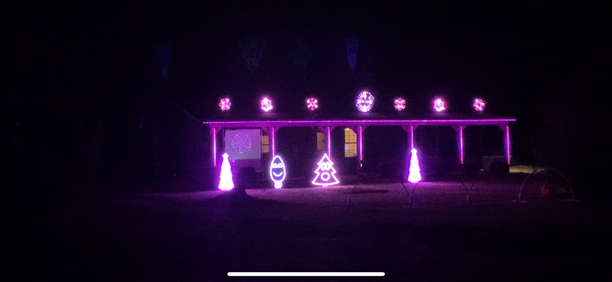 Lights in the Swamp house display